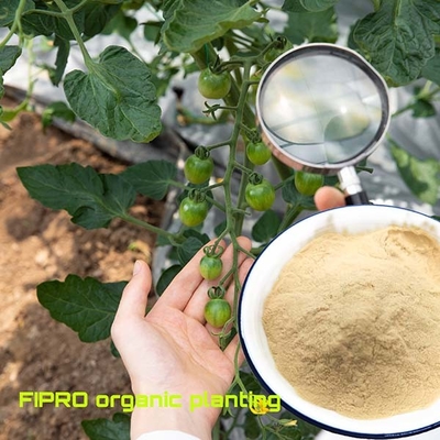 Soy Protein Hydrolysate Organic Amino Acid Fertilizer