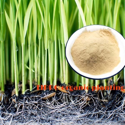 Soybean Meal Organic Nitrogen Fertilizer Hydrolyzed Soy Protein Powder ISO9001
