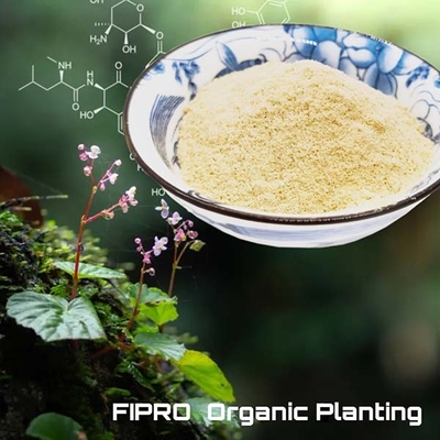 Soybean Meal Organic Soy Protein Hydrolysate Powder 13% Nitrogen
