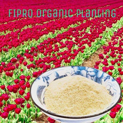 Enzymatically Soy Protein Hydrolysate Plants Fertilizer Powder 3101009010