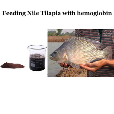 Dietary Animal Protein Source Spray Dried Hemoglobin Powder For Nile Tilapia