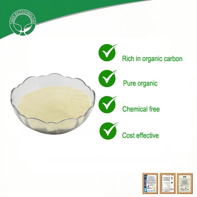 All Purpose Slow Release Plant Fertilizer Powder for Enhanced Growth and Soil Health