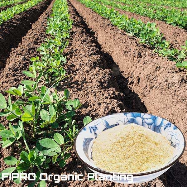 Biological Soy Protein Hydrolysate Powder