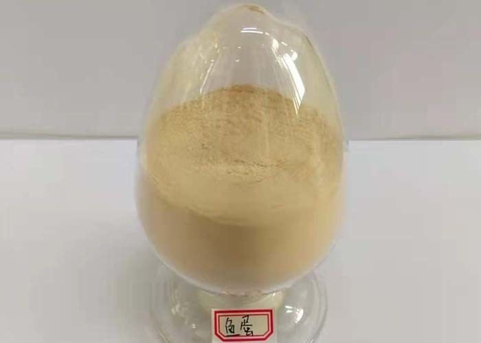 Meat-free Non-GMO Vegetable peptone powder from maize for alcohol fermentation industry