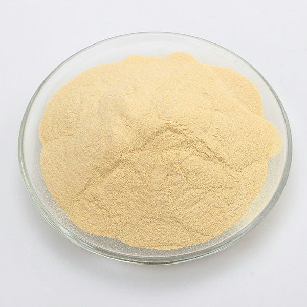 Industrial Fermentation Soybean Based Plant Peptone Powder Non GMO