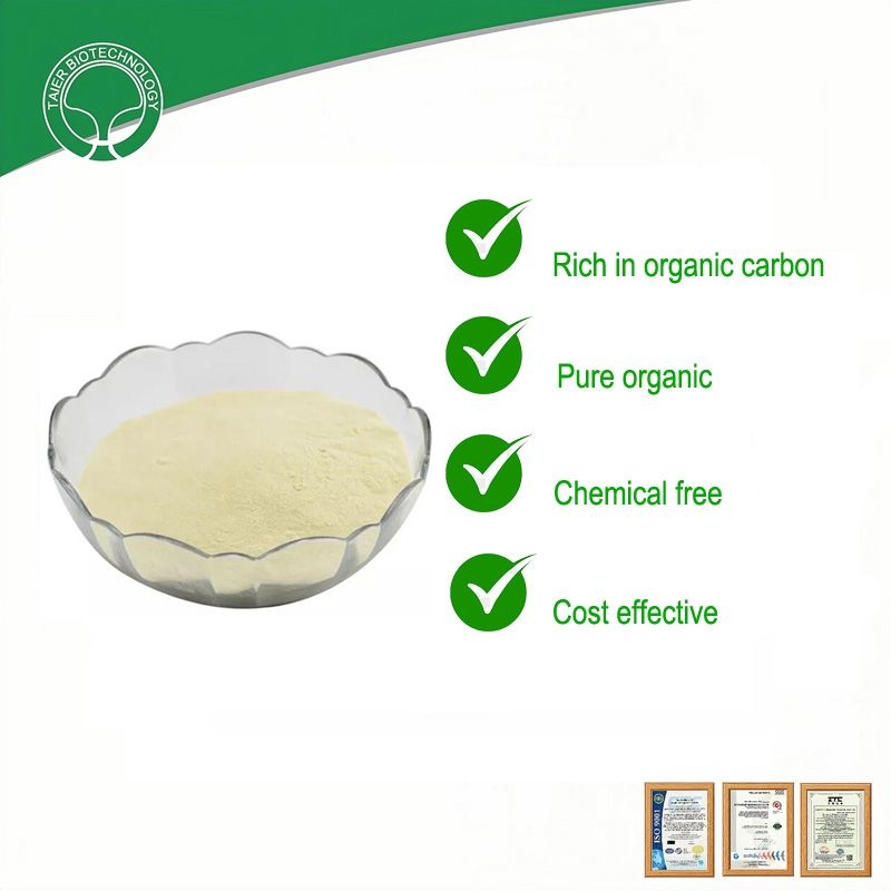 All Purpose Slow Release Plant Fertilizer Powder for Enhanced Growth and Soil Health